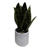 Homla Sanseviera Artificial Plant 20cm